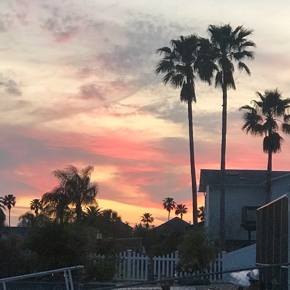 Meet your Posher, Niki